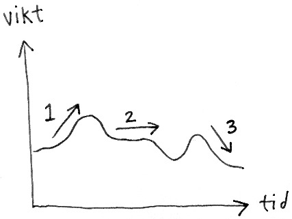 https://manualguiden.se/statics/bilder/riskermedhogfrekventvagning.jpg